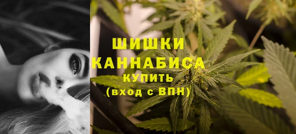метамфетамин Ельня