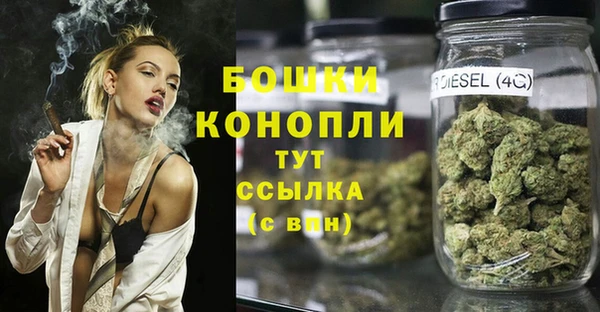 альфа пвп Елизово