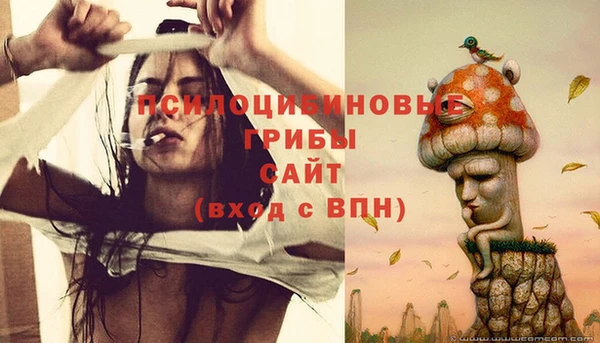 альфа пвп Елизово
