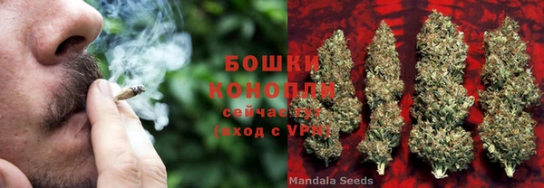 метамфетамин Ельня