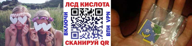 Купить где  Ирбит  Марки NBOMe 1,5мг 