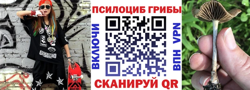 Псилоцибиновые грибы Magic Shrooms  Купить  Ирбит 